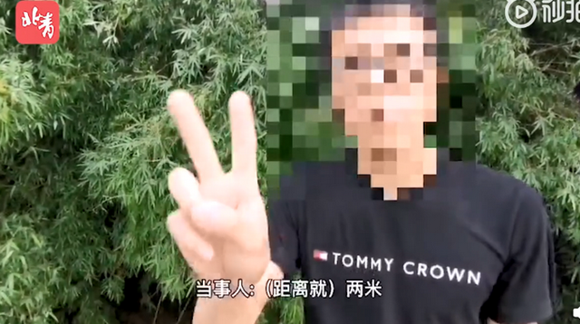 第726页