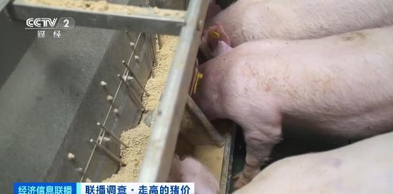游戏专题 第30页