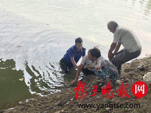 游戏专题 第6页